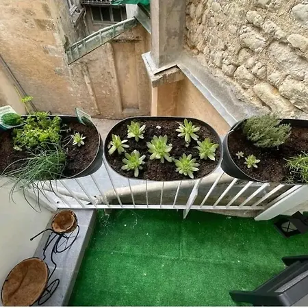 דירה Le Petit Poitevin -hyper Centre - Wi-fi- Netflix Gratuit ניורט